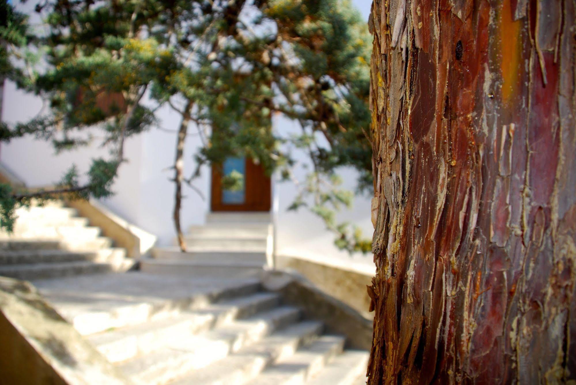 Apartamento Rural Castillo De Yeste 2 Pax (Adults Only) المظهر الخارجي الصورة